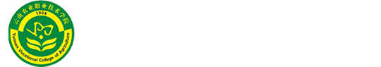 2026美加墨世界杯官网
