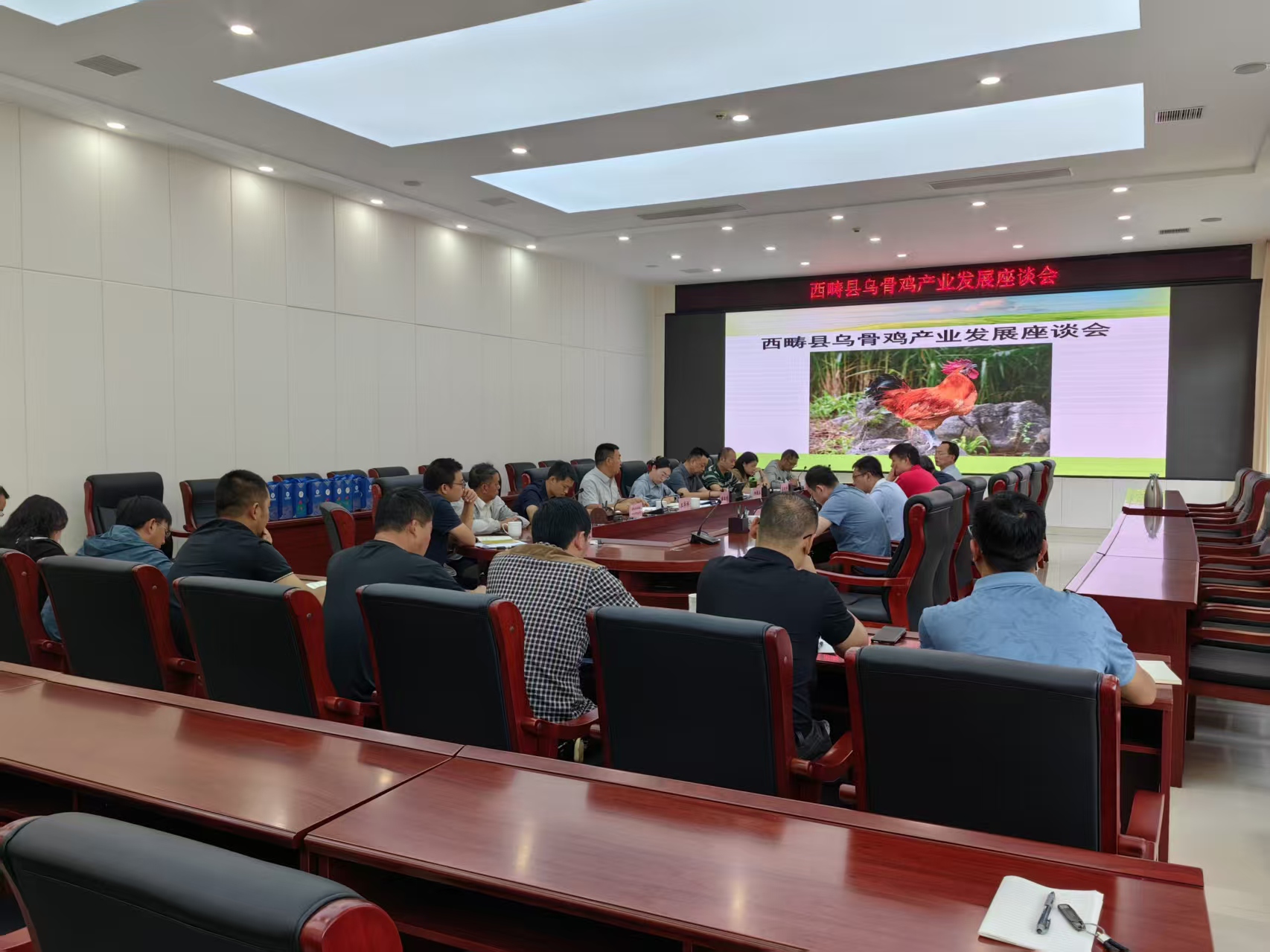 科技赋能 兴边富民——世界杯官网禽蛋产业体系试验站联合多单位赴西畴县开展乌骨鸡产业科技推广服务